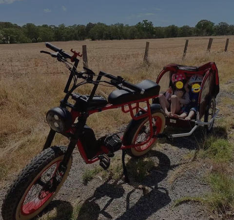Sprechen Sie nur mit Brownie ... sie wird jedes Problem l&ouml;sen und Ihnen immer helfen. Was das Fahrrad betrifft, es ist gro&szlig;artig, ein echtes Biest und macht viel Spa&szlig;