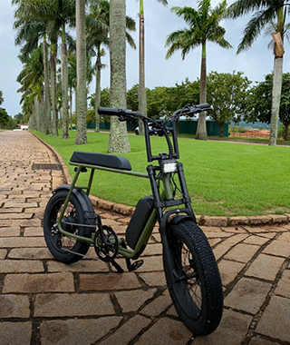 @mario_ebike