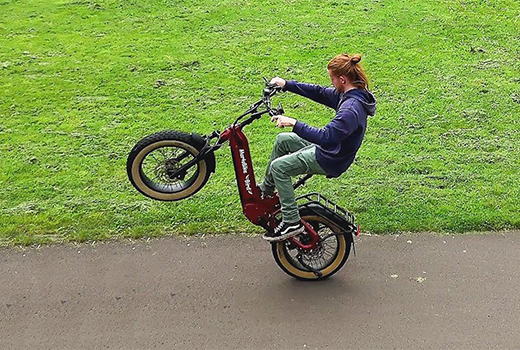 Bird-Bike-Von-Mario-Ebike